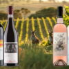 Das neue 6er Weinpaket mit Australischen Weinen jetzt online bei cellardoor24.de