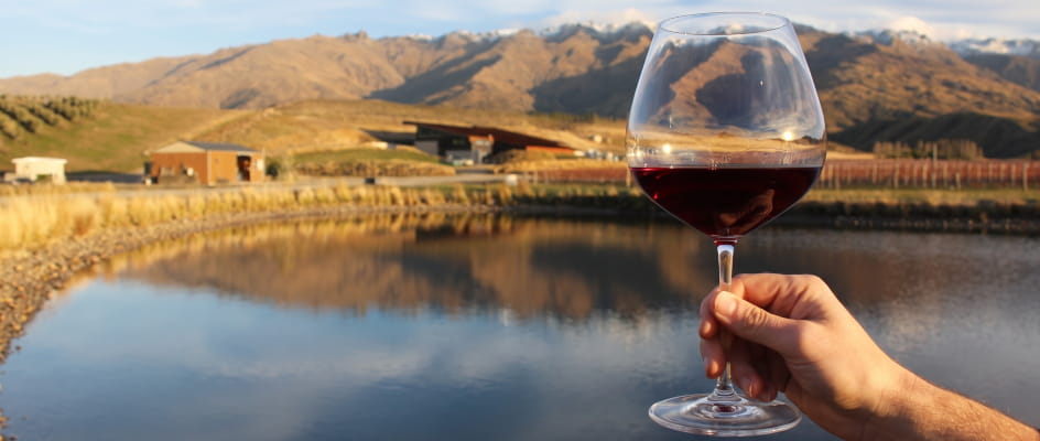 Hand hält ein großes, halb gefülltes Rotweinglas mit Pinot Noir vor der Weinberglandschaft von Amisfield in Central Otago, Neuseeland, mit Bergpanorama und See; im Vordergrund das Logo „Pinot Noir Day 2026“.